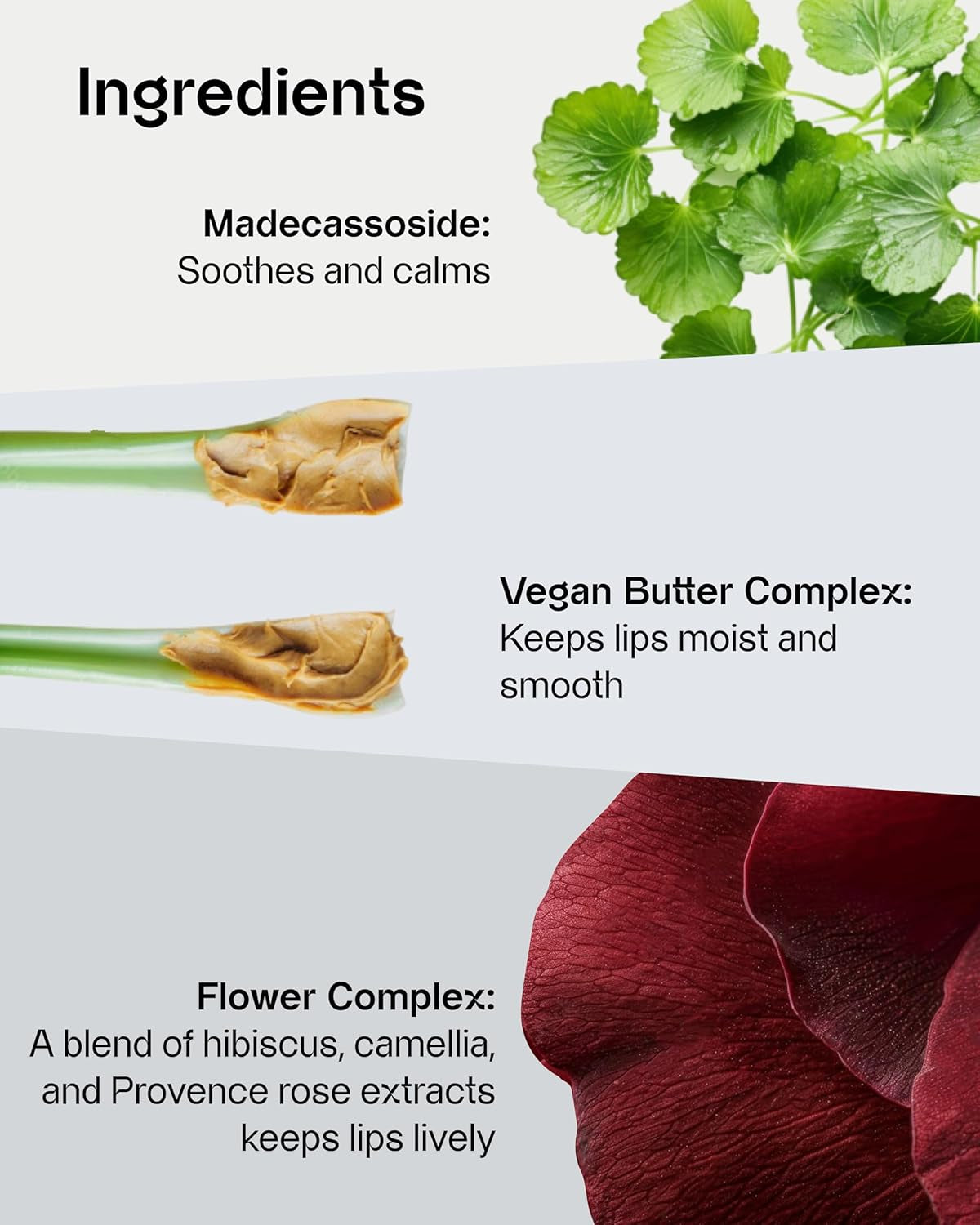 Sensual Vegan Lipstick Blur (02 Dreamy, 0.12Oz) - Long-Lasting Formula, Lightweight Matte Lipstick, Korean Makeup. Shea Cocoa Butter, Vegan.
